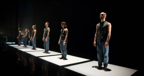 6 dancers in a row each standing on a white square