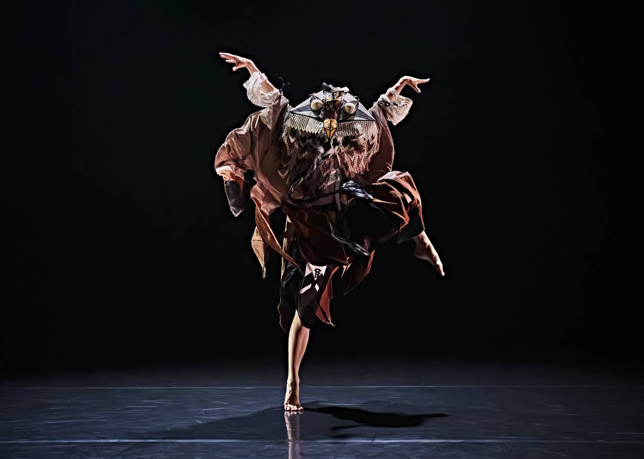 an owl and eagle masked dance duo, wrapped around one another. 
